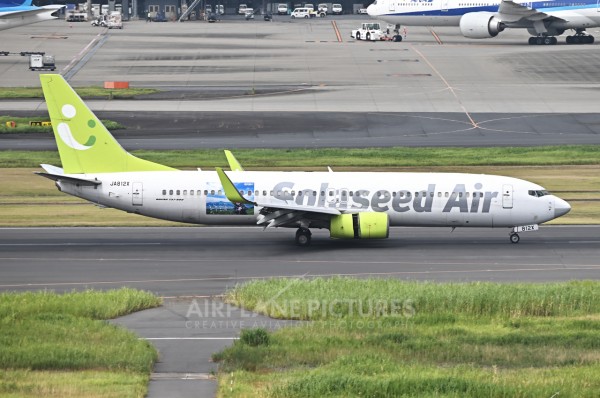 JA812X - Boeing 737-86N - Solaseed Air | AirNav Radar